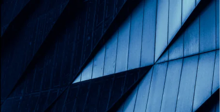 MSS — managed security services